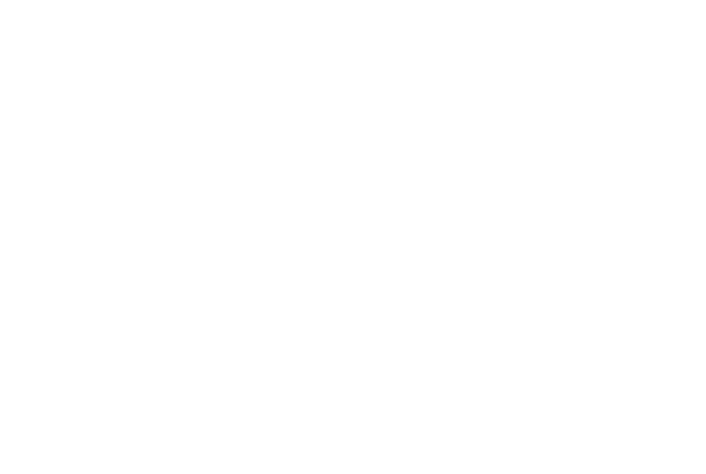 Singletrack logo